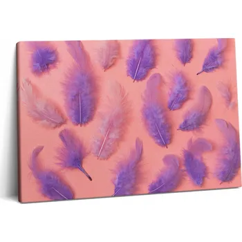 Obraz Fotoobraz na plátně Efektní do obývacího pokoje Barevná pírka 60x40 cm