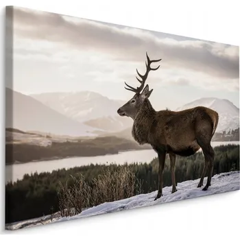 Obraz Obraz do Kanceláře JELEN Hory Krajina 3D Příroda 70x50