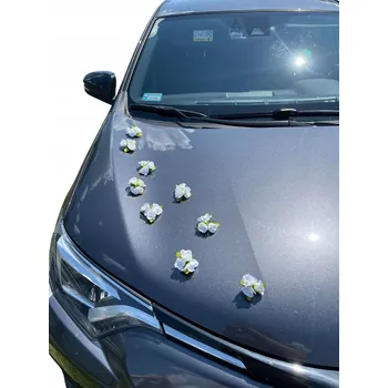 Obraz Dekorace na auto – květiny bílé