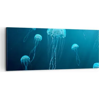 Obraz Foto obraz na plátně canvas 100x40 medúza obývací pokoj ložnice na zeď velký