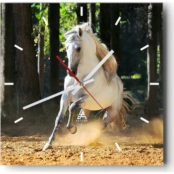 Hodiny Velké nástěnné hodiny 40x40 cm Zvířata Skleněné tiché hodiny