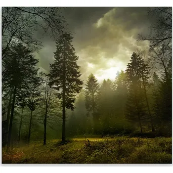 Kuchyňské prkénko Skleněná Ochranná Deska a Krájecí Prkénko | Indukce, Sporák ds-0397