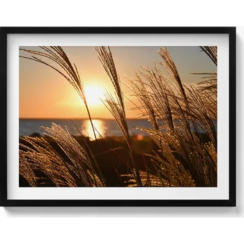 Obraz Závěsný obraz v černém rámu na zeď dekorace do domu Pšenice 80x60 cm