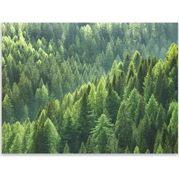 Kuchyňské prkénko Skleněná Ochranná Deska a Krájecí Prkénko | Indukce, Sporák ds-0417