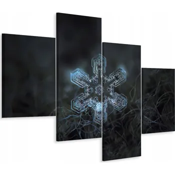 Obraz Čtyřdílný obraz ZBLÍZKA SNĚHOVÁ VLOČKA 120x75