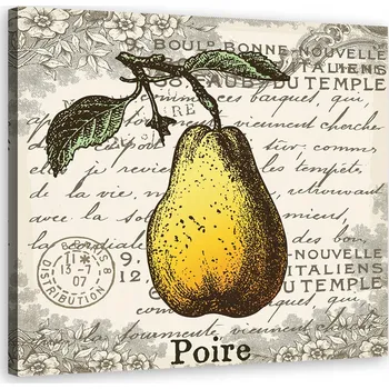 Obraz OBRAZ NA PLÁTNĚ Hruška vintage 60x60