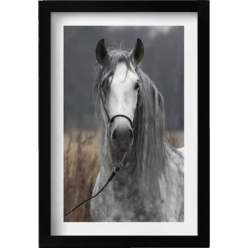 Obraz Dekorativní nástěnný obraz s černým rámem a grafikou loft Bílý kůň 20x30 cm