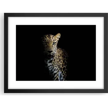 Obraz Obraz plakát v černém rámu do obýváku 40x30 zvířata foto na zeď