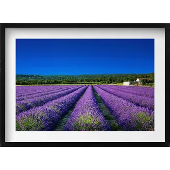Obraz Obraz s černým rámem a grafikou na zeď Levandulové pole v Provence 70x50 cm