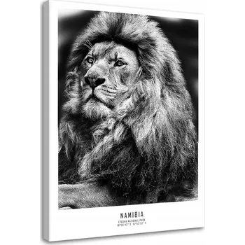 Obraz Obraz na plátně Feeby Symbol Afriky 60 x 90 cm