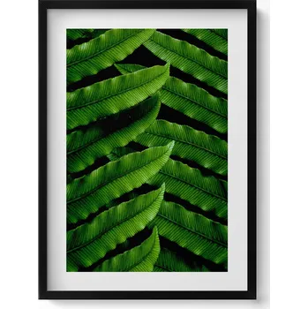 Obraz Dekorativní nástěnný obraz v rámu do obýváku Zelené listy detail 50x70 cm