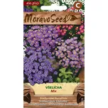 MoravoSeed Všelicha iberkolistá mix 450…