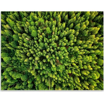 Kuchyňské prkénko Skleněná Ochranná Deska a Krájecí Prkénko | Indukce, Sporák ds-0470