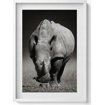 Obraz Závěsný obraz na zeď dekorace do bytu Černobílý nosorožec 50x70 cm
