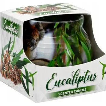 Svíčka Tradiční parafinová svíčka Eukalyptus Admit 1 ks