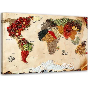 Obraz OBRAZ DO OBÝVÁKU MAPA S KOŘENÍM SVĚTA 60x40