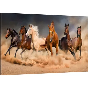 Obraz OBRAZ NA PLÁTNĚ STÁDO KONÍ 70x50 980