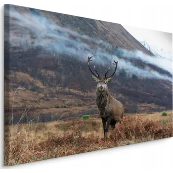 Obraz Obraz do obýváku příroda jelen HORY zeleň 30x20