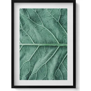Obraz Dekorativní obraz v černém rámu do obýváku Detail žilky listu 50x70 cm