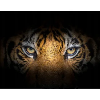 Kuchyňské prkénko Skleněná Ochranná Deska a Krájecí Prkénko | Indukce, Sporák ds-0535