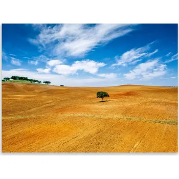 Kuchyňské prkénko Skleněná Ochranná Deska a Krájecí Prkénko | Indukce, Sporák ds-0137