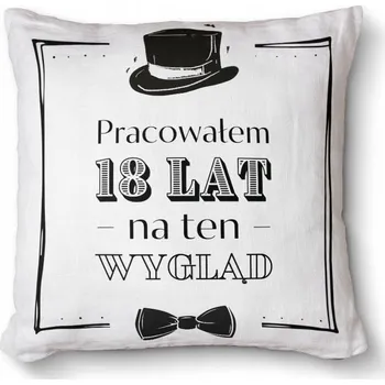 Polštář Dekorační polštář s potiskem 40x40 cm - Pracoval jsem 18 let na tenhle vzhled