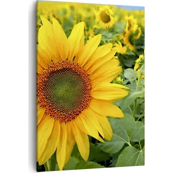 Obraz Obraz na plátně do obývacího pokoje ložnice 50x70 květiny obrazy na zeď canvas