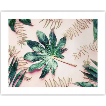 Obraz Obraz plakát na zeď bez rámu 50x40 botanika foto plakáty obývací pokoj ložnice