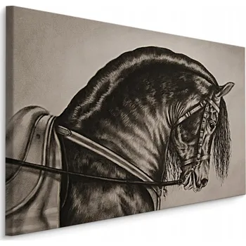 Obraz Obraz do předsíně černý kůň skica 3D 30x20