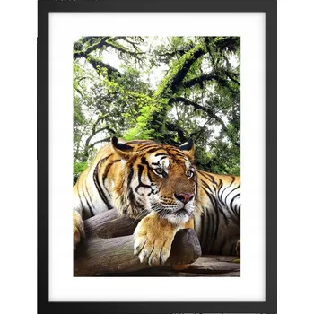 Obraz Obraz plakát v černém rámu do obýváku 30x40 tygr foto plakáty na zeď