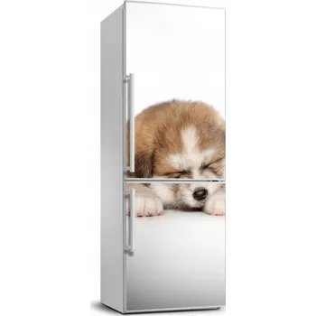 Fototapeta Samolepicí samolepící na ledničku Štěňátko Akity