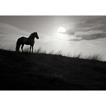 Plakát Plakát Měsíční hlídka bez rámu 29,7 x 21 cm