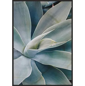 Obraz OBRAZ PLAKÁT V RÁMU 33x43 cm Agáve P840