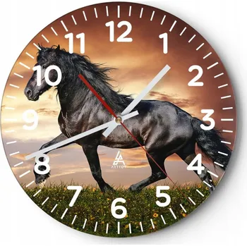 Hodiny Kuchyňské nástěnné hodiny 30x30 Zvířata Moderní skleněné hodiny Obývací pokoj Tiché