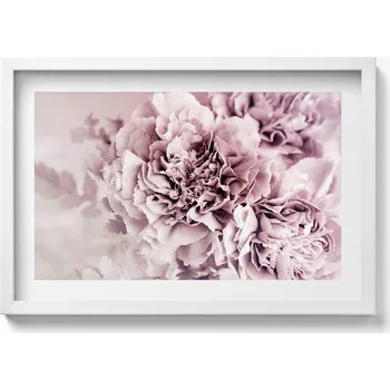 Obraz Dekorativní nástěnný obraz v rámu s grafikou Bledě růžové pivoňky okvětní lístky 60x40 cm