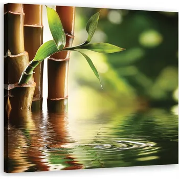 Obraz OBRAZ NA PLÁTNĚ NA ZEĎ BAMBUS ZEN 30x30