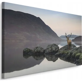 Obraz Obraz na plátně jelen jezero krajina 3D 40x30