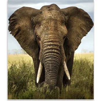 Kuchyňské prkénko Skleněná Ochranná Deska a Krájecí Prkénko | Indukce, Sporák ds-0363