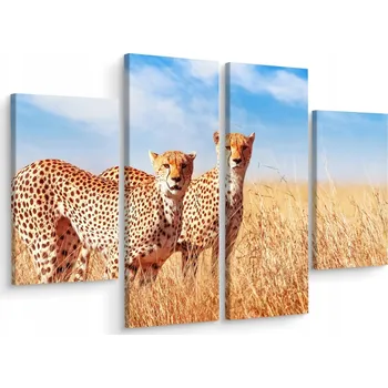 Obraz Obraz Čtyřdílný GEPARDI Nebo Rostliny 3D 80x60