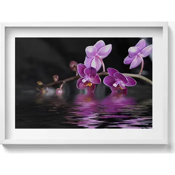 Obraz Závěsný obraz rámeček bílé barvy Růžový květ orchideje na vodě 70x50 cm