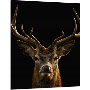 Kuchyňské prkénko Krájecí deska TMK ArtDeko sklo 1 ks