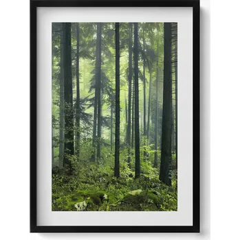 Obraz Obraz s rámem a grafikou na zeď Krajina stromů a rostlin lesa 50x70 cm