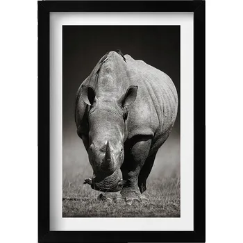 Obraz Dekorativní obraz v černém rámu do obýváku Černobílý nosorožec 20x30 cm
