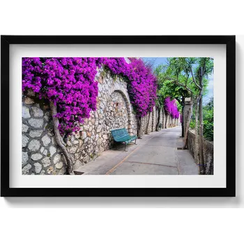 Obraz Moderní nástěnná dekorace Cesta s květinami na Capri v Itálii 60x40 cm