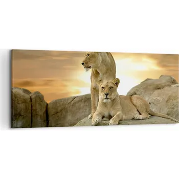 Obraz Foto obraz na plátně 100x40 zvířata obývací pokoj ložnice na zeď velký