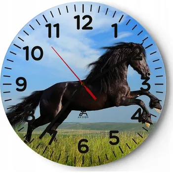 Hodiny Kuchyňské nástěnné hodiny 30x30 Zvířata Moderní skleněné hodiny Obývací pokoj Tiché