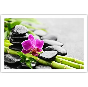 Obraz Obraz plakát do obýváku ložnice 91x61 květiny foto na zeď bez rámu