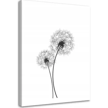 Obraz Obraz na plátně Nakreslené dvě pampelišky 40x60