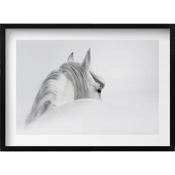 Obraz Závěsný obraz na zeď dekorace do domu Andaluský kůň v mlze 70x50 cm