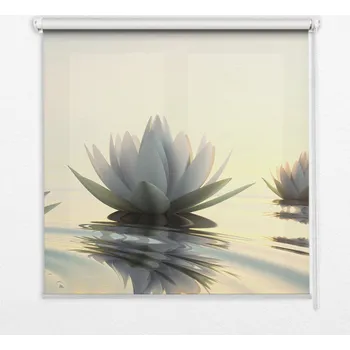 Obraz Zatemňovací roleta s grafikou Lekníny 120x140